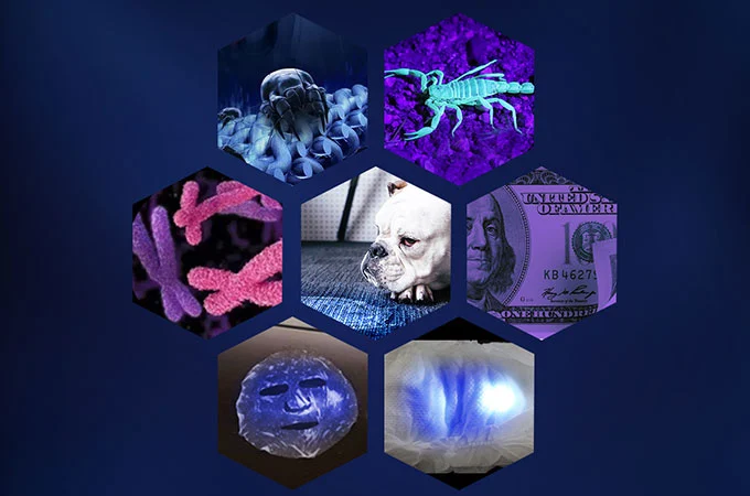 Những người khác