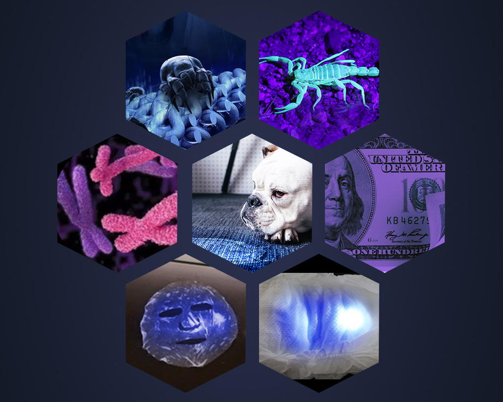 Other Outdoor Lightings Other Outdoor Lightings