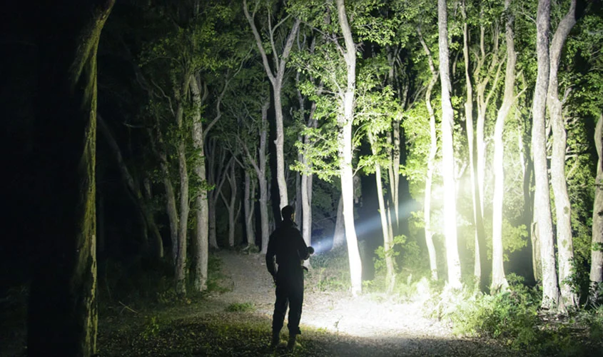 Đèn Ngoài Trời để tìm kiếm